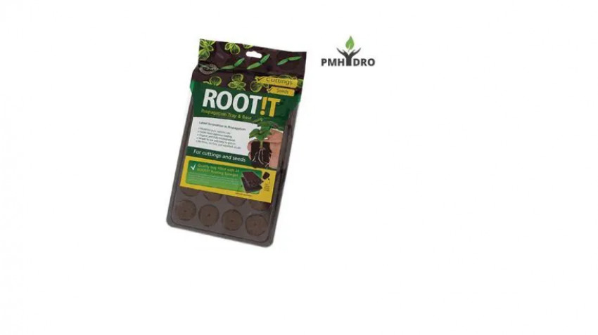 Basic guide to germinating seeds in the hydroponic system