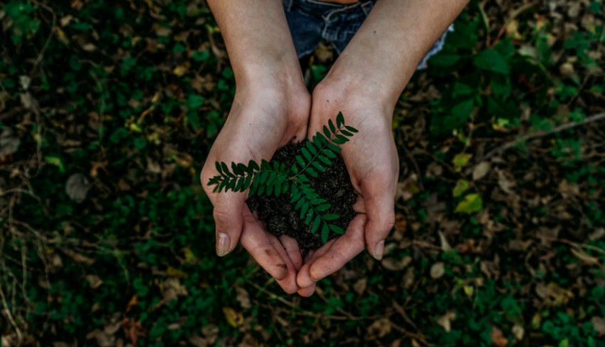 7 ways to be more Eco Friendly in 2021
