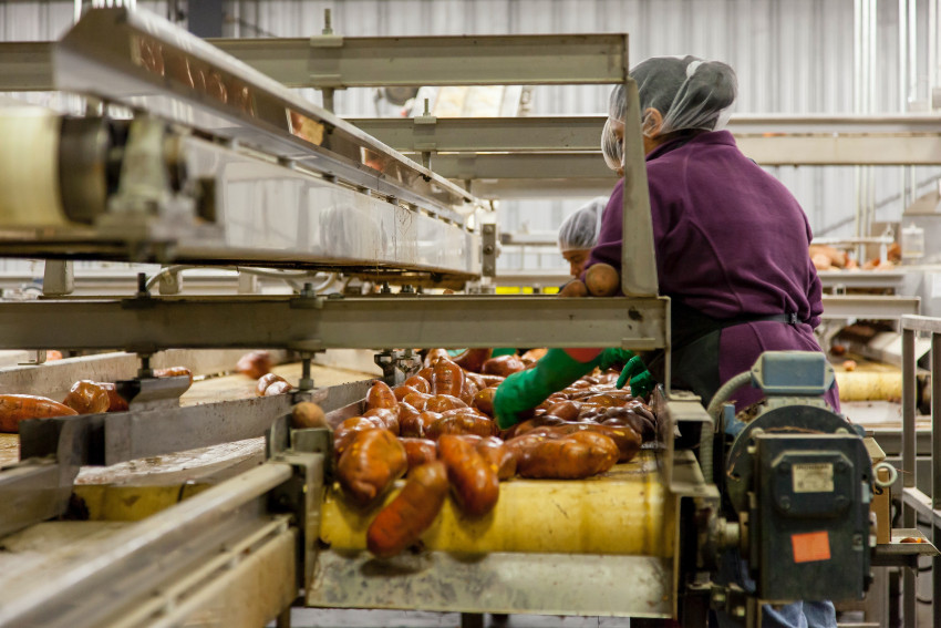 Top 5 Applications of Nanotechnology in the Food Industry