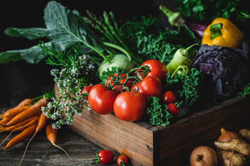 Fruit and vegetable shop business plan online