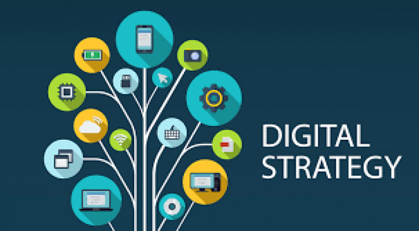 How to Use LinkedIn in Your Company's Digital Strategy?
