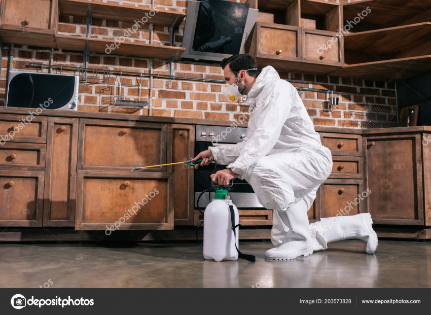Common Mistakes Homeowners Make When Dealing With Pests