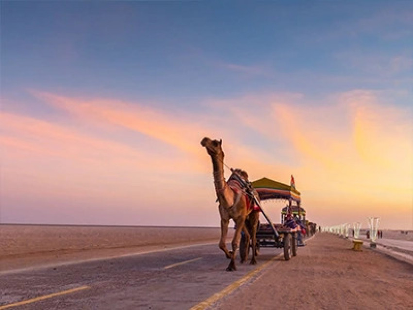 Glamorous Gujarat: The Land of Lions and Legends