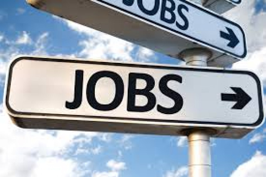 12 Honest Job Hunt Data About Your Job Hunt, From a Beginner Who Does not Beat Around the Bush 