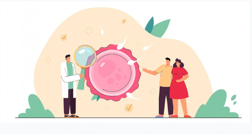 Best IVF Centre in Kathmandu, Nepal | Process of IVF Treatment
