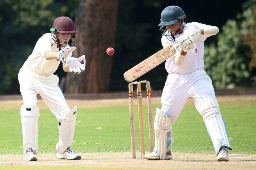 Cricket Shoes: A Buyer Guide For Beginners