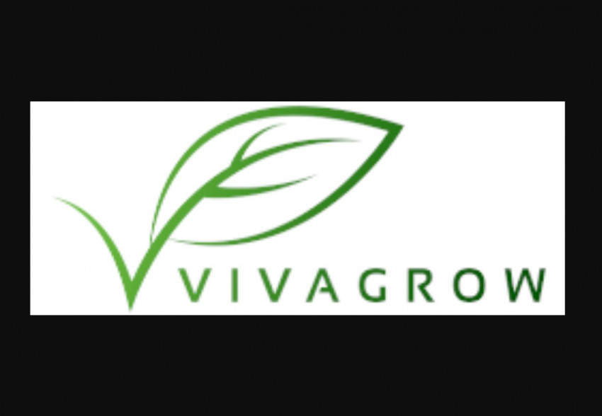 A Secret Weapon For Organic Fungicides