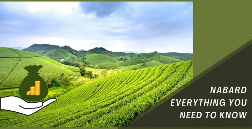NABARD: Everything you truly need to know
