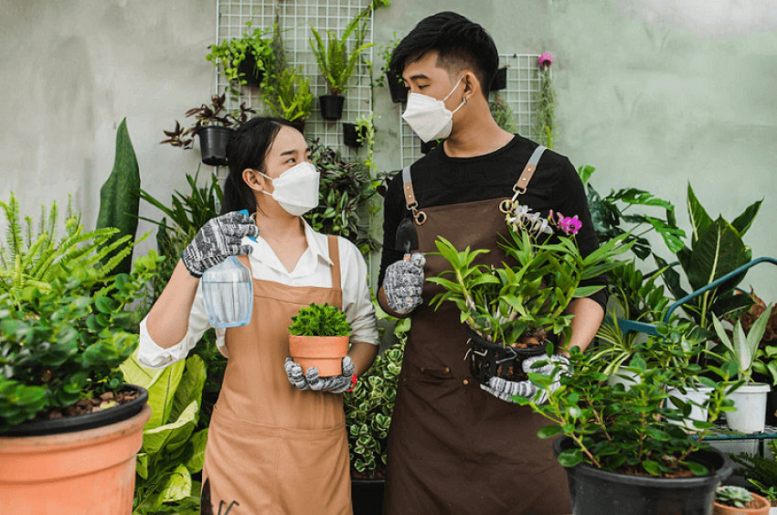 How to Start Gardening Business? 7 Must Follow Tips