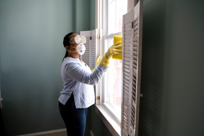 Why Consider Pest Control Services?