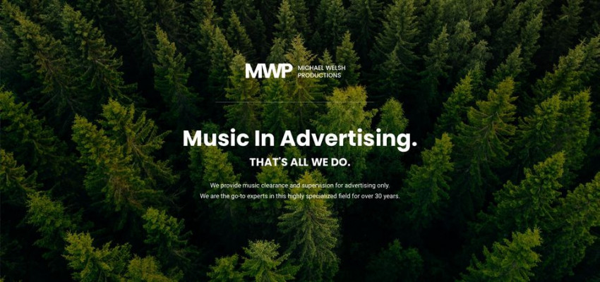 Vetting Influencers In Advertising