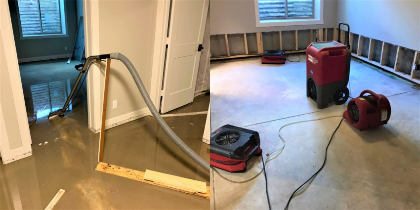 The Best Water Mitigation Companies In Washington State
