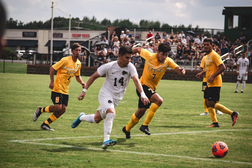 What Are The Different Types Of Football Shin Guard?