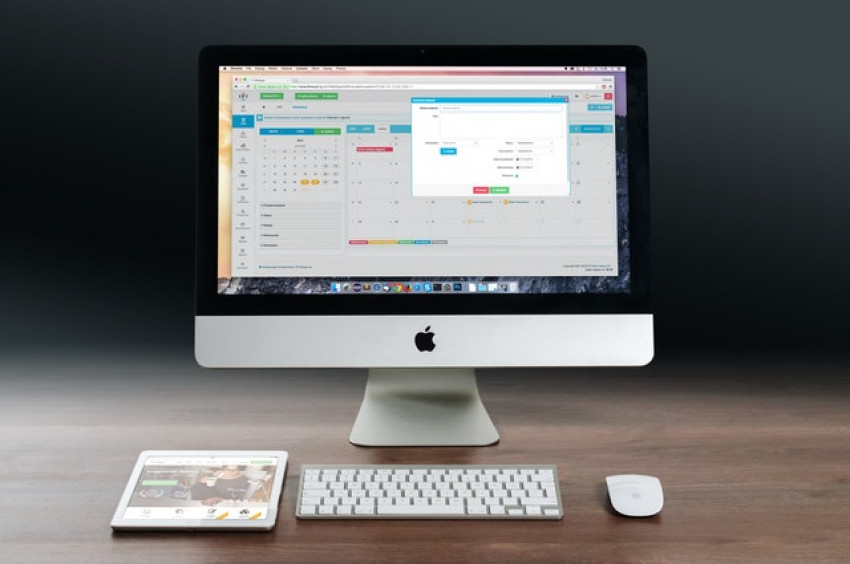 Hire Wordpress  Developer - To Develop Multipurpose Smart Website