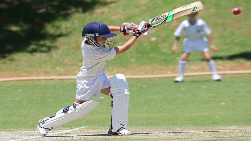 Best Cricket Shoes: The 2022 Guide for Beginners