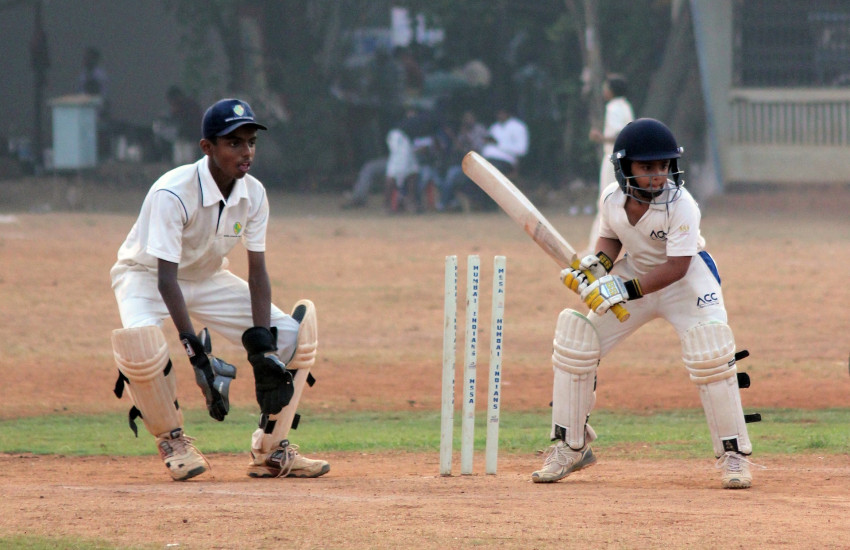 How To Choose The Right cricket batting pads For You?