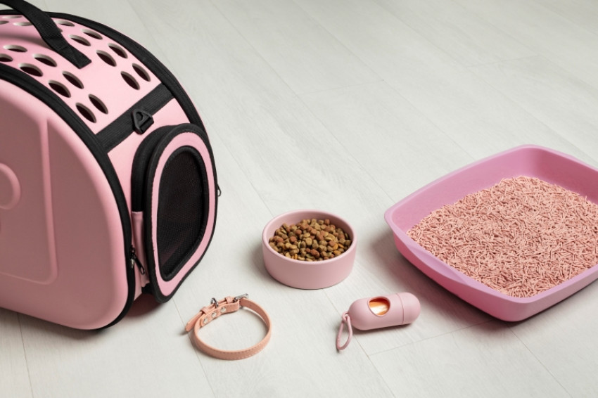 How to Correctly Choose a Cat Litter Box