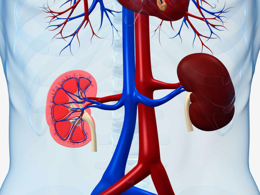 Safe and Recommended Blood Sugar Levels