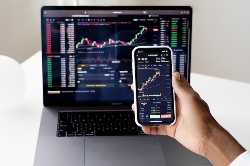 Why Should You Use the Services of a Toronto-Based Hosting Company?