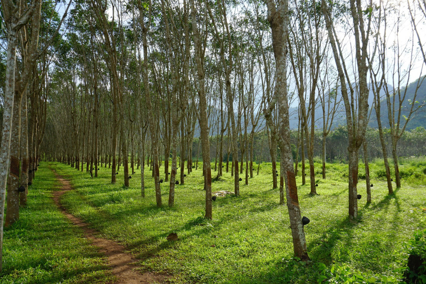 What are the most profitable crops to grow on agricultural land?