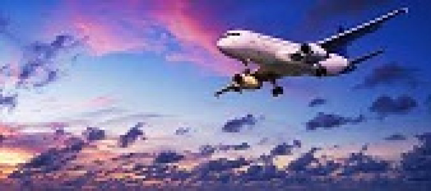 How do I talk to a live person at Allegiant Air?