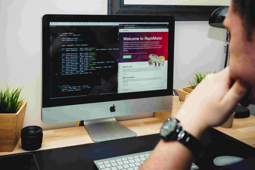 Web Development: Unlocking the Power of the Digital Frontier