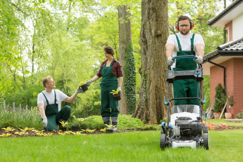 How to  improve soil quality to prevent common lawn problems In Rancho Cucamonga