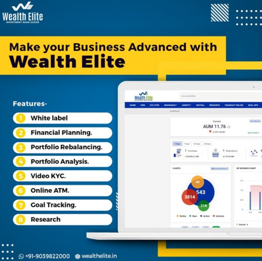 How Can the Mutual Fund Software for Distributors Help Them Manage Their Client's Portfolios?