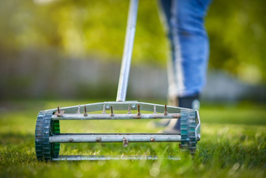Unleash the Full Potential of Your Lawn with Lawn Aeration Service