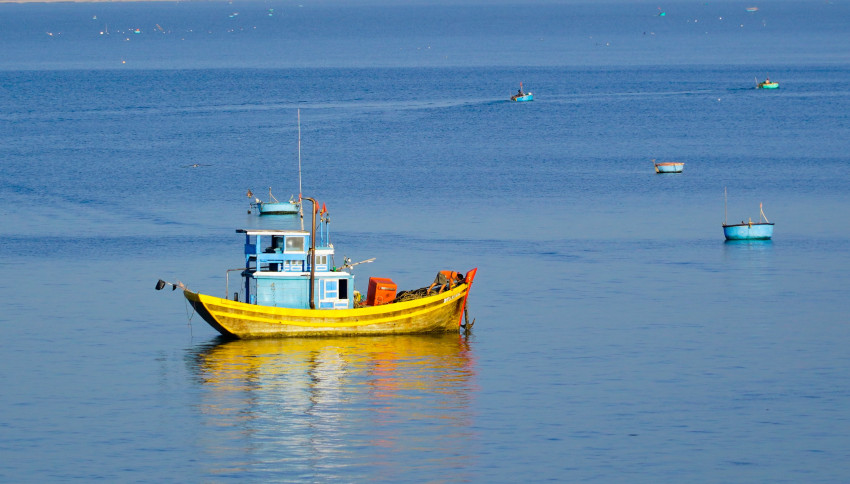 New innovations in sustainable seafood methods