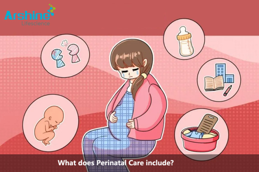 What does Perinatal Care include?
