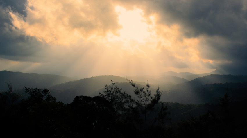 Discovering the Untamed Beauty of Thekkady: A Kerala Tour Adventure from Mumbai