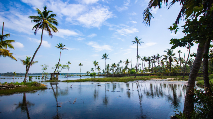 Romantic Escapades in Alappuzha: A Perfect Retreat with Kerala Honeymoon Packages