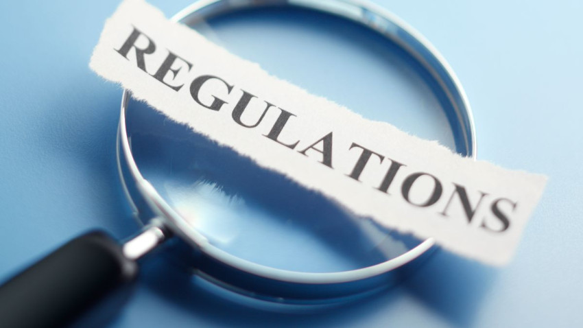 ESG Consultants as Guides in Navigating Green Regulations for SMEs