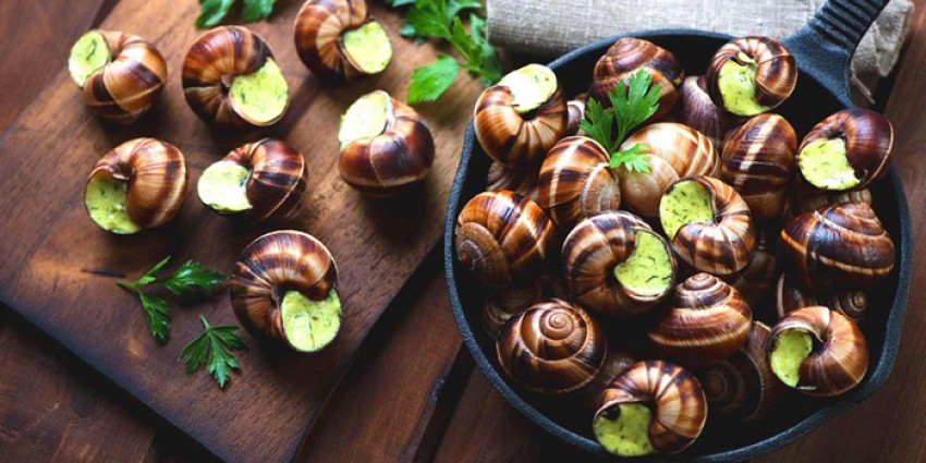 Top 7 Most Horrible and Scariest Food in the World