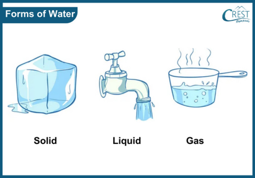 Exploring the Wonders of Water: Class 1 Topic