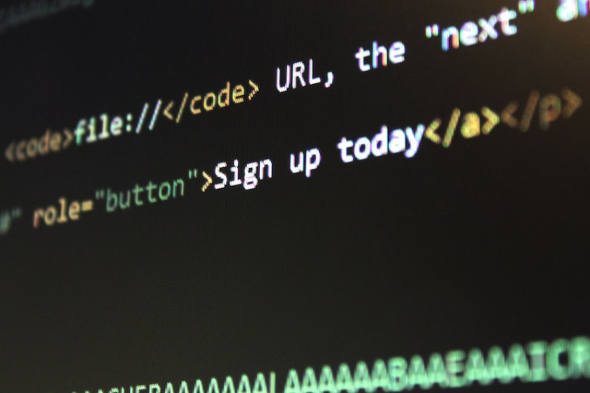 Choose the Custom Web Application Development Services for Your Business
