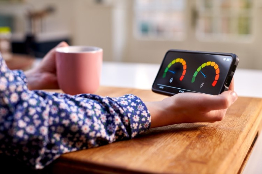 Smart Energy Meters for Sustainable Future