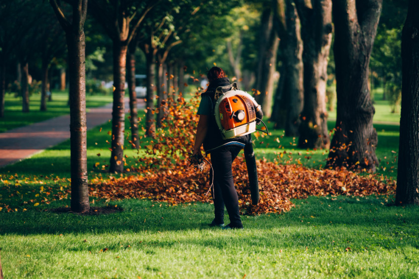 Lawn landscaping tips for winter seasons
