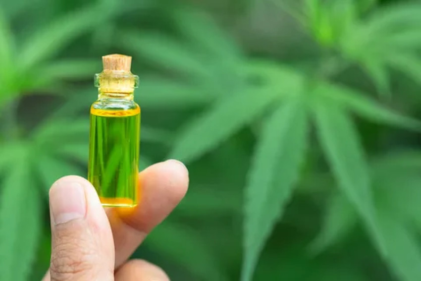 The Complete CBD Distillate Is Your Passport to Holistic Wellness