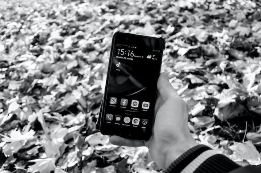 6 TikTok Trends to Inspire Your Next Viral Video
