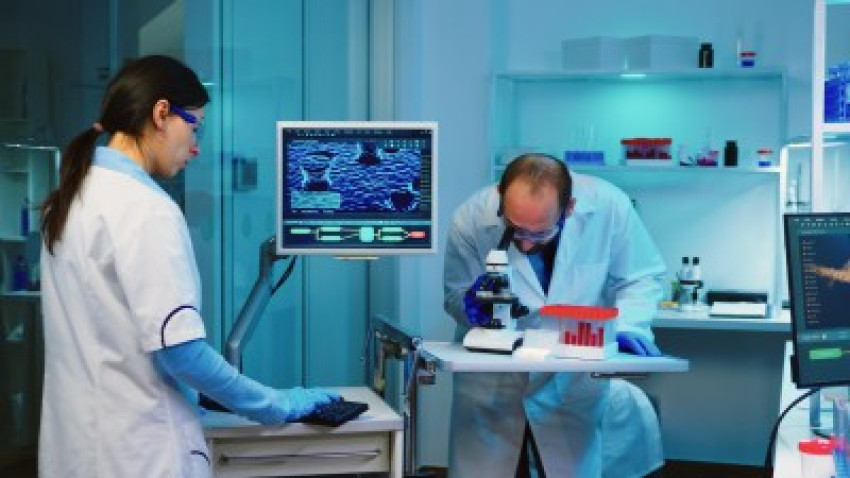 Navigating the Frontier: Key Strategies in Early Phase Clinical Development