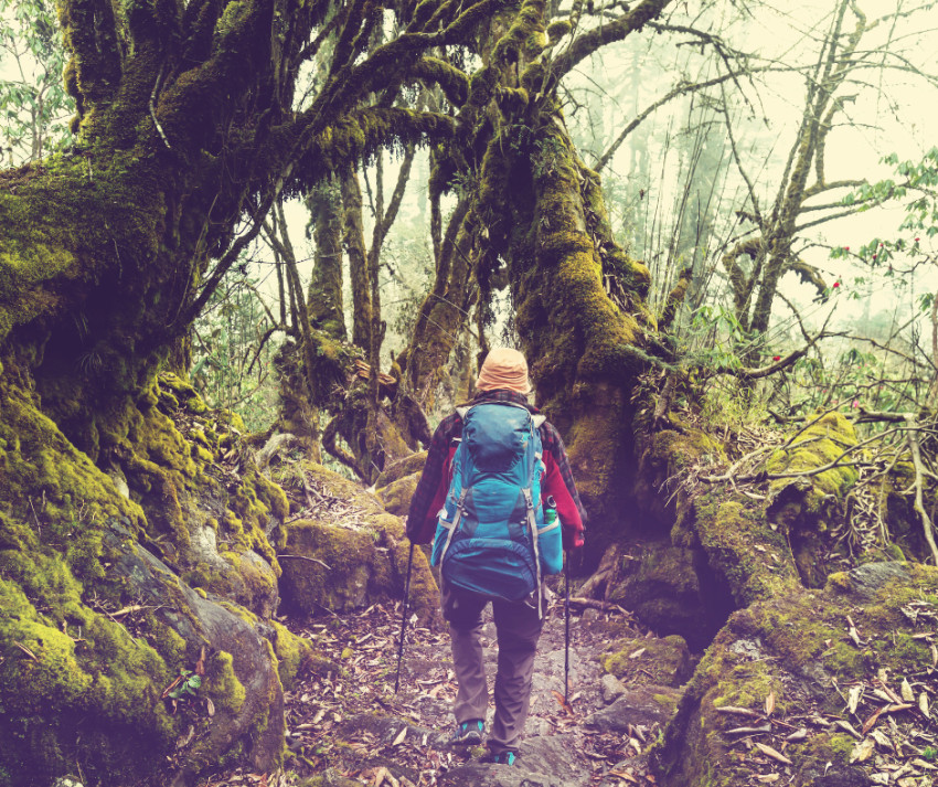 Kanchenjunga Circuit Trek: A Comprehensive Guide to Nepal’s Best-Kept Secret