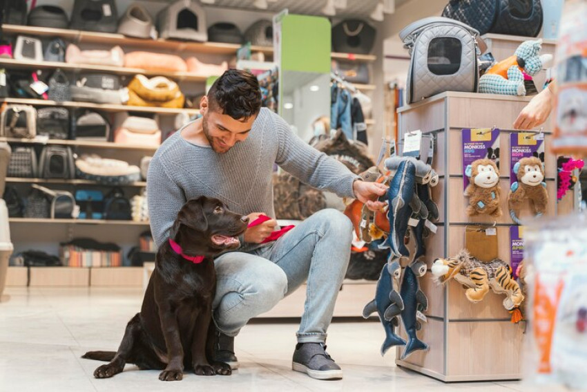 Shop at the Best Pet Shop in Singapore