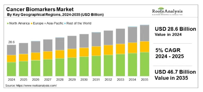 Top 5 Trends Driving Growth in the Antibiotics Market