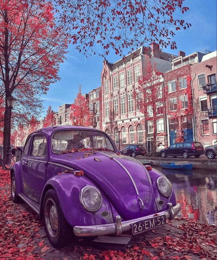 Wheels of Nostalgia: Classic Car Journeys