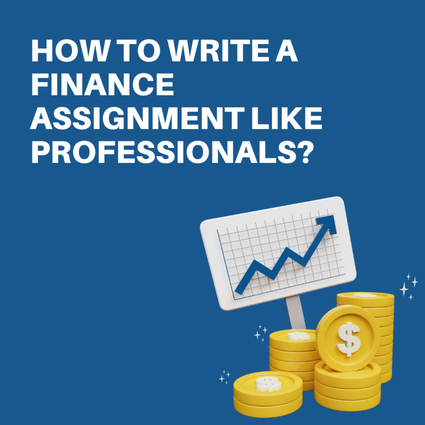 How To Write A Finance Assignment like Professionals?