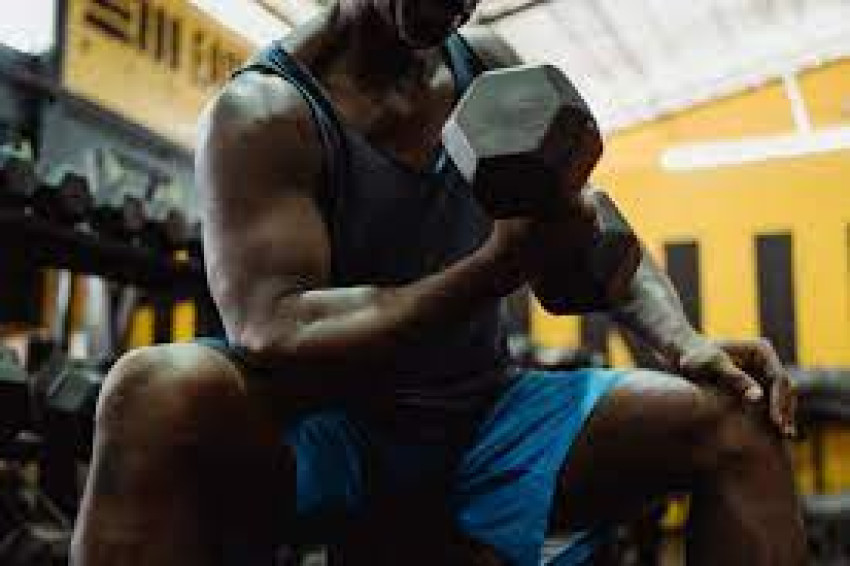 Exploring the Best Natural Testosterone Boosters