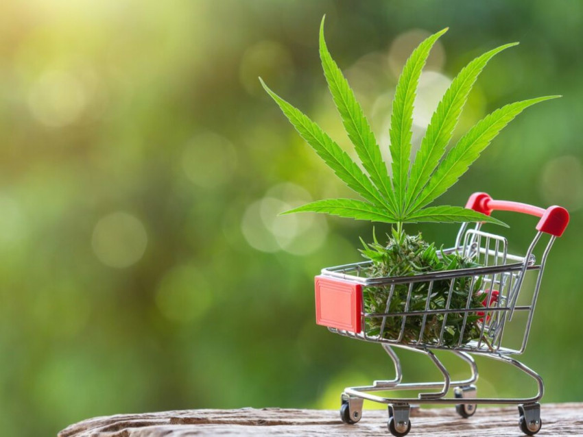Why Toronto's 24-Hour Dispensary is a Game-Changer for Night Owls