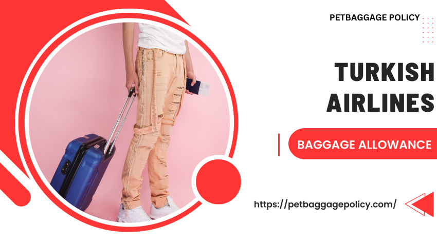 Turkish Airlines Baggage Allowance
